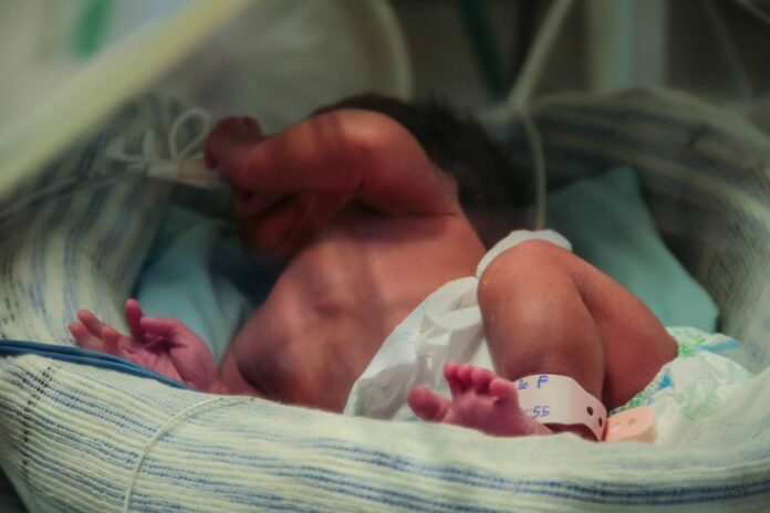 Hospital-de-Base_UTI-Neonatal_Dia-dos-Pais_07.08.19_Foto_Daiane-Mendonça-22