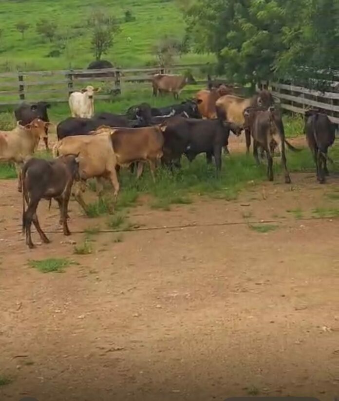 WhatsApp-Image-2025-01-04-at-21.17.18-e1736036366100