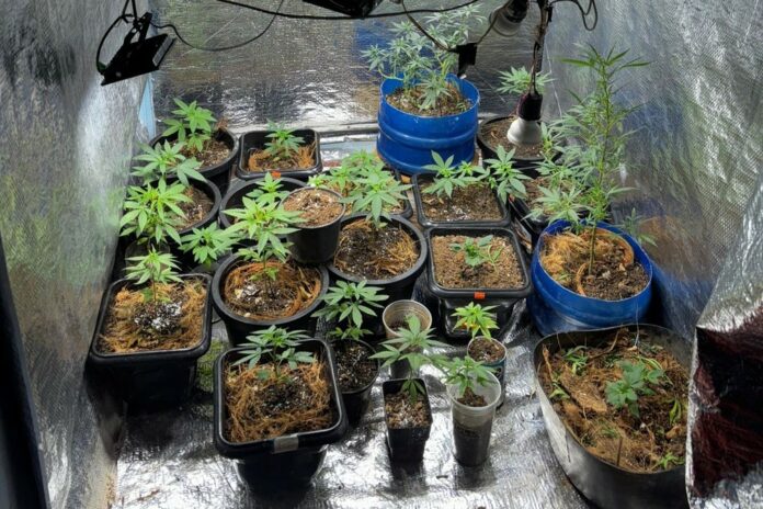 meitu-20250108-115620828