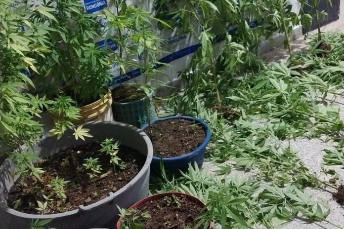 meitu-20250123-092527690