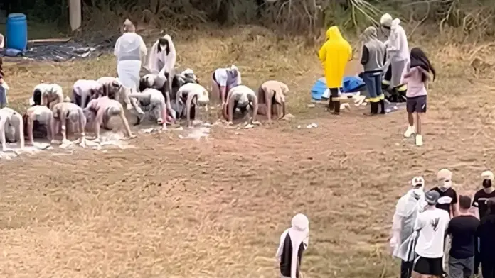 174289753267e2817c19b05