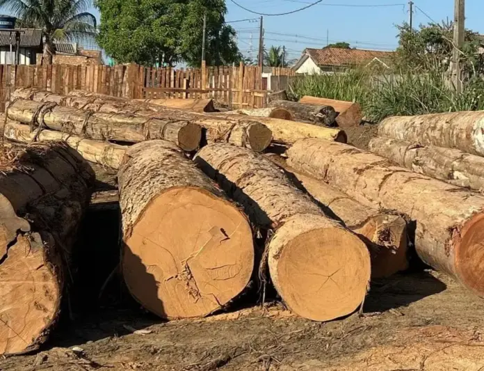 whatsapp-image-2023-07-01-at-11.32.43