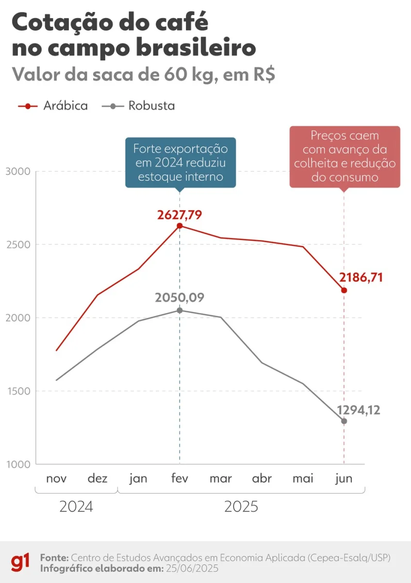 Cotação média mensal do café no campo até 25 de junho de 2025. — Foto: Arte/g1