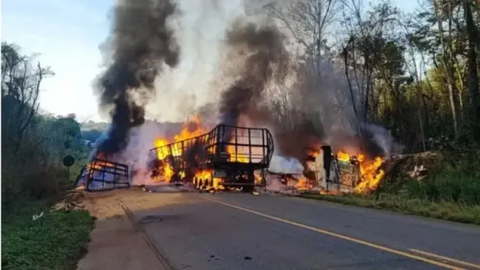 17495819626848808a1b325