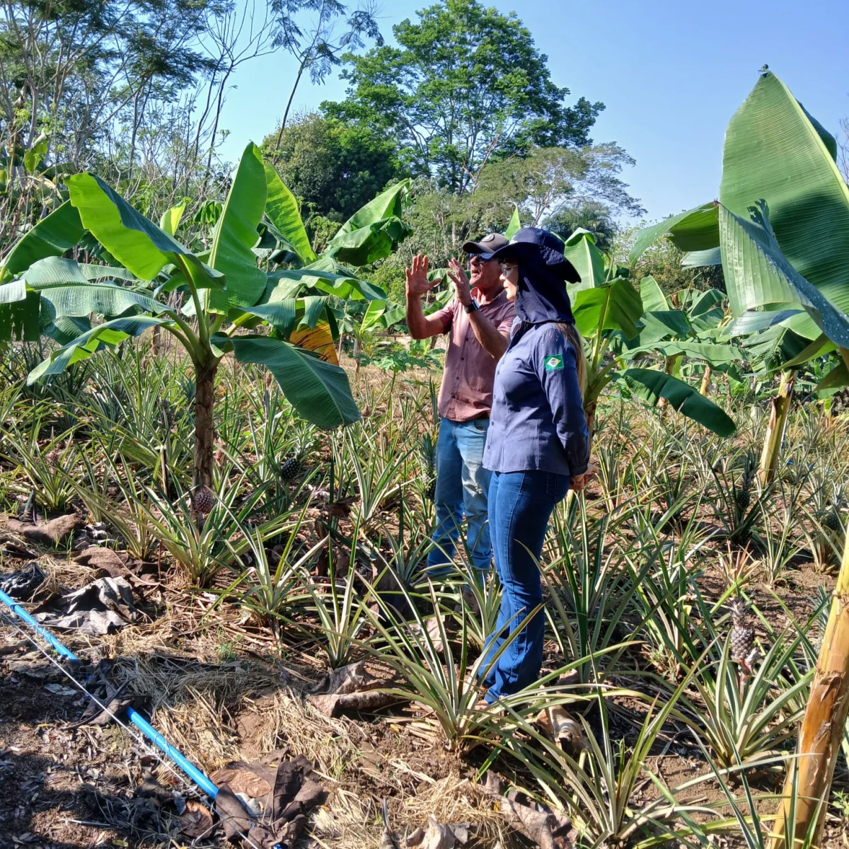 Estudantes participando das atividades do projeto Cultivando Conhecimento