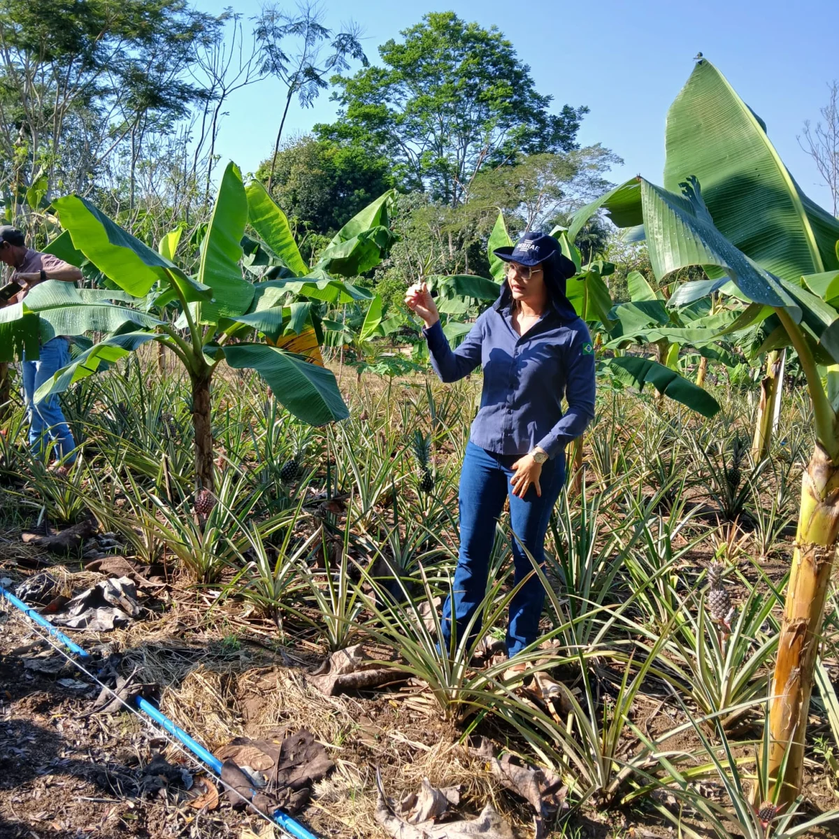 Atividades práticas de agricultura com os alunos