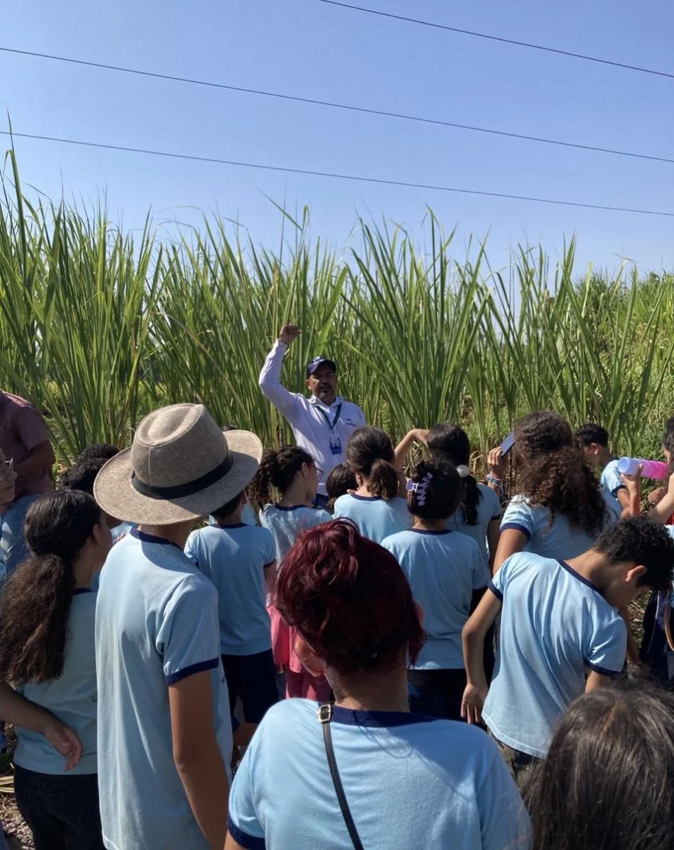 Demonstração de técnicas sustentáveis de cultivo