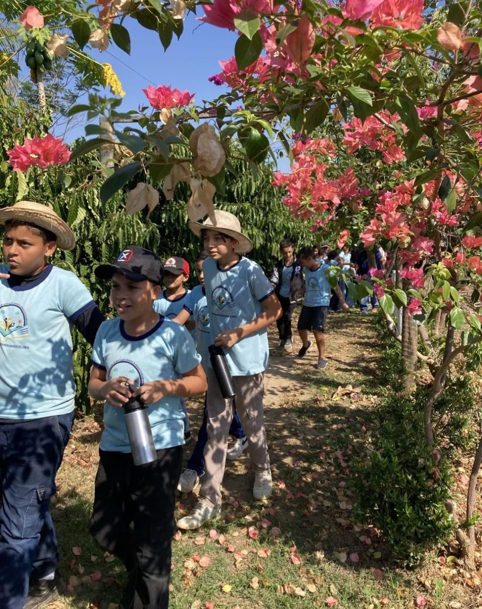 Estudantes aprendendo sobre diferentes culturas agrícolas