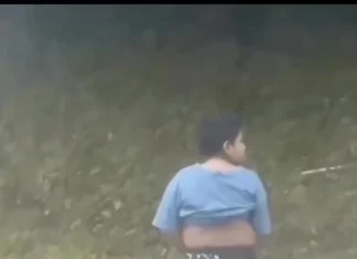 VEJA VÍDEO: Filho sai do carro minutos antes para urinar e casal morre prensado entre carretas