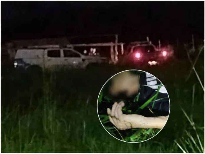 2e85d96b-1d05-4688-9e73-4df97a317388