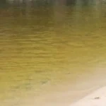 Criança de 12 anos morre afogada em represa de Rondônia