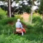 LUZ DO DIA: Casal de idosos é flagrado em sexo em praça