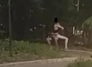 SEM PUDOR: Casal é pego fazendo sexo em banco de bosque à luz do dia