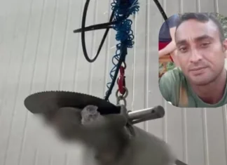 Trabalhador morre em acidente com serra elétrica em frigorífico