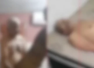 Idoso passa mal e morre após gravação com novinha do Job. VEJA VÍDEO