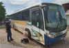 Ônibus para transporte de alunos começam a ser vistoriados