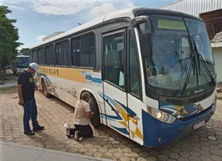 Ônibus para transporte de alunos começam a ser vistoriados