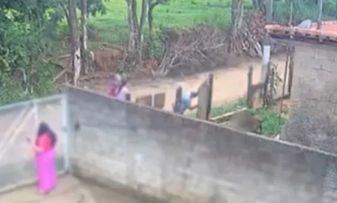 Bebê de 10 meses morre após ser atacado por cão pitbull da família