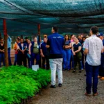 Semeia participa de qualificação que aborda produção de mudas, manejo de viveiros e recomposição ambiental