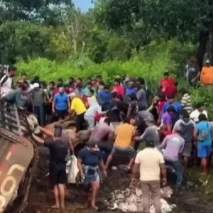 Caminhão com gado tomba e populares abatem animais às margens da rodovia; veja vídeo