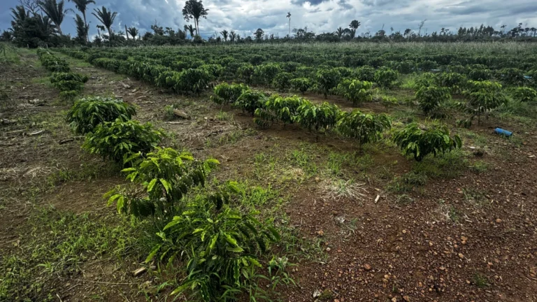 Nota de Esclarecimento Associação Tiago Campin dos Santos