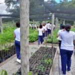 Viveiro Municipal recebe visita de alunos da Escola Janete Clair