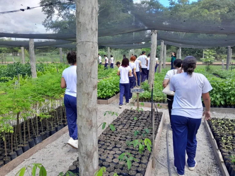 Viveiro Municipal recebe visita de alunos da Escola Janete Clair
