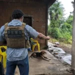 Estuprador monitorado por tornozeleira é flagrado abusando de cachorro