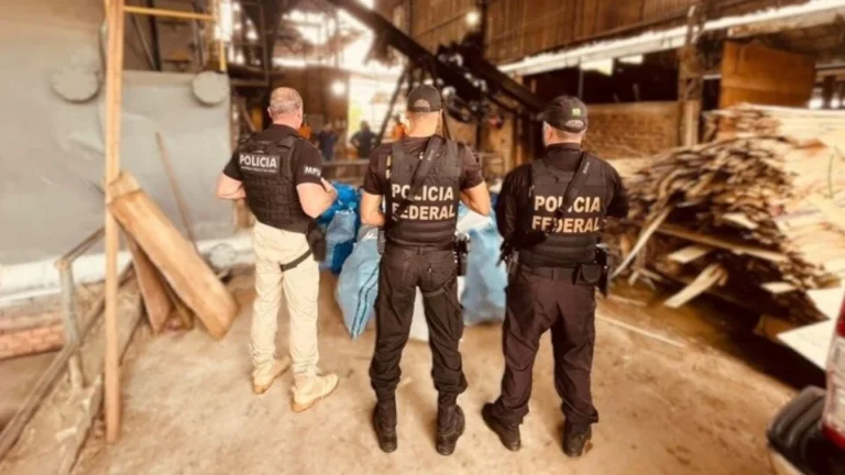 Polícia Federal Incinera mais de 710kg de drogas em Ji-Paraná