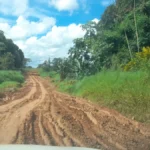 ESQUECIDOS: Moradores de Rondominas estão revoltados com o abandono das estradas pelo DER