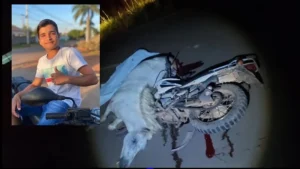 Adolescente de 17 anos morre após bater em cavalo solto na Rodovia do Boi em Rondônia