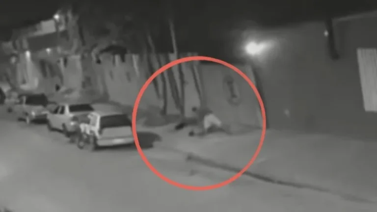 VÍDEO: homem mata mulher a golpes de taco de beisebol após discussão em bar