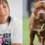 IMAGENS FORTES! Mulher morre após ser atacada pelo próprio cachorro no quintal de casa. VEJA VÍDEO
