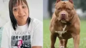 IMAGENS FORTES! Mulher morre após ser atacada pelo próprio cachorro no quintal de casa. VEJA VÍDEO