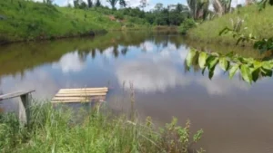Criança morre após contrair ameba rara ‘comedora de cérebro’ em Rondônia