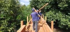 Prefeitura inicia restauração do Parque Ecológico Municipal