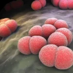 Adolescente morre em UTI de Ji-Paraná e caso suspeito de meningite mobiliza autoridades de saúde