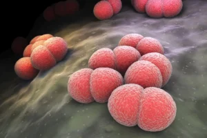 Adolescente morre em UTI de Ji-Paraná e caso suspeito de meningite mobiliza autoridades de saúde