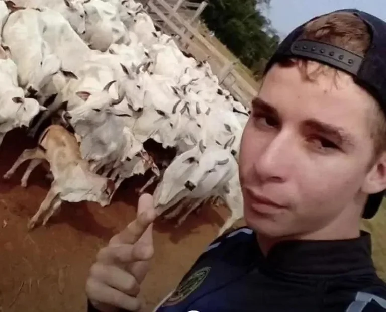 Jovem morre após sofrer descarga elétrica durante colheita de café em Rondônia