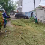 Serviços de roçagem e capina são realizados pela Prefeitura nos bairros