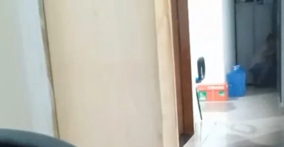 Homem é acusado de filmar funcionárias em banheiro de empresa; veja vídeo