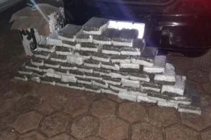 PM apreende cerca de 65 quilos de maconha e prende suspeitos