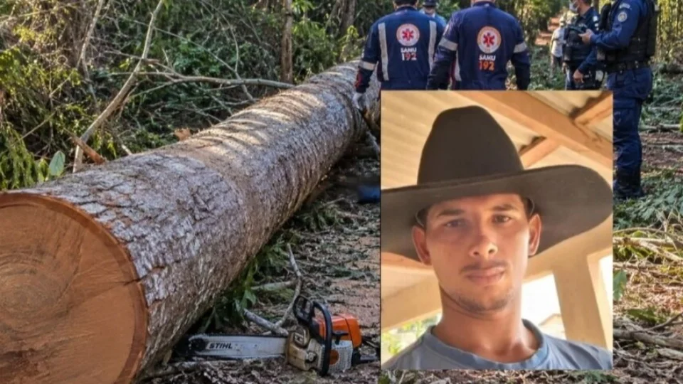 Trabalhador morre após ser atingido por tora de madeira em área de mata em Rondônia