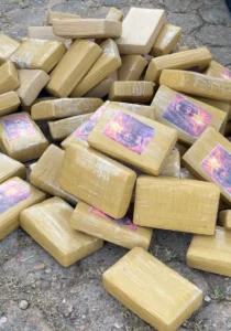 Atualização! Megaoperação prende quatro suspeitos e apreende quase 300 quilos de drogas em Ji-Paraná