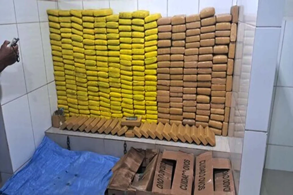Polícia Militar preende mais de 328 kg de drogas em Cacoal