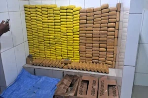 Polícia Militar preende mais de 328 kg de drogas em Cacoal