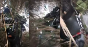 Motociclista morre após perder o controle da moto e bater contra árvore na RO-383, na Zona da Mata; veja vídeo