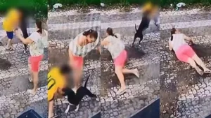 VEJA VÍDEO: Mãe arrisca a própria vida para salvar filho de 10 anos de ataque de cachorro