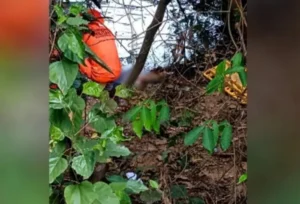 Homem é encontrado morto em rio no interior de Rondônia