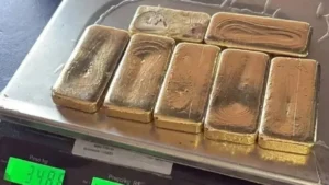PRF apreende ouro avaliado em R$ 2,3 mi escondido em sapatos e tornozelos de passageiro na BR-364